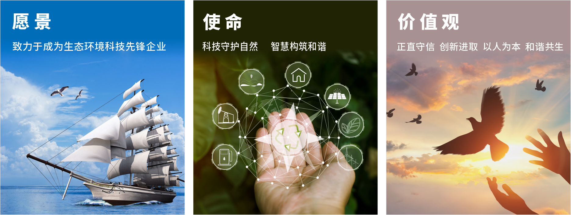 愿景精神價(jià)值觀.png 愿景精神價(jià)值觀.png